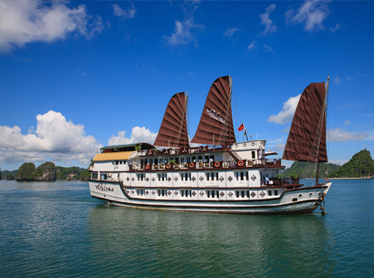 Deluxe Cruises
