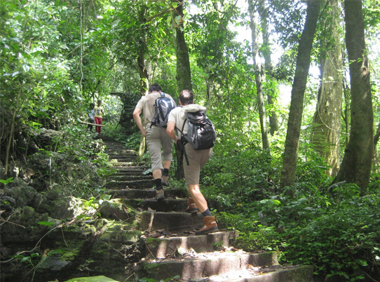 Cuc Phuong National Park for a day tour