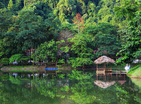 Cuc Phuong National Park 2Days/ 1Night or 3Days/ 2Nights on Bungalow