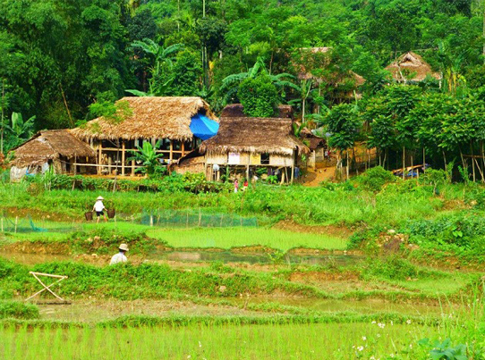Pu Luong Natural Reserve 3Ds/ 2Ns