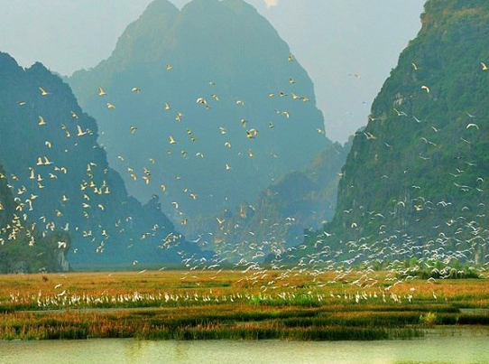 Cuc Phuong - Van Long Nature Reserve for 1 day